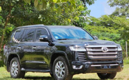 Land Cruiser 2012